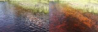 Twee foto's van een meertje met links zonder en rechts met polarisatiefilter. In de laatste is veel meer onder water te zien. (foto: Lake Czarne, bu Crusier)